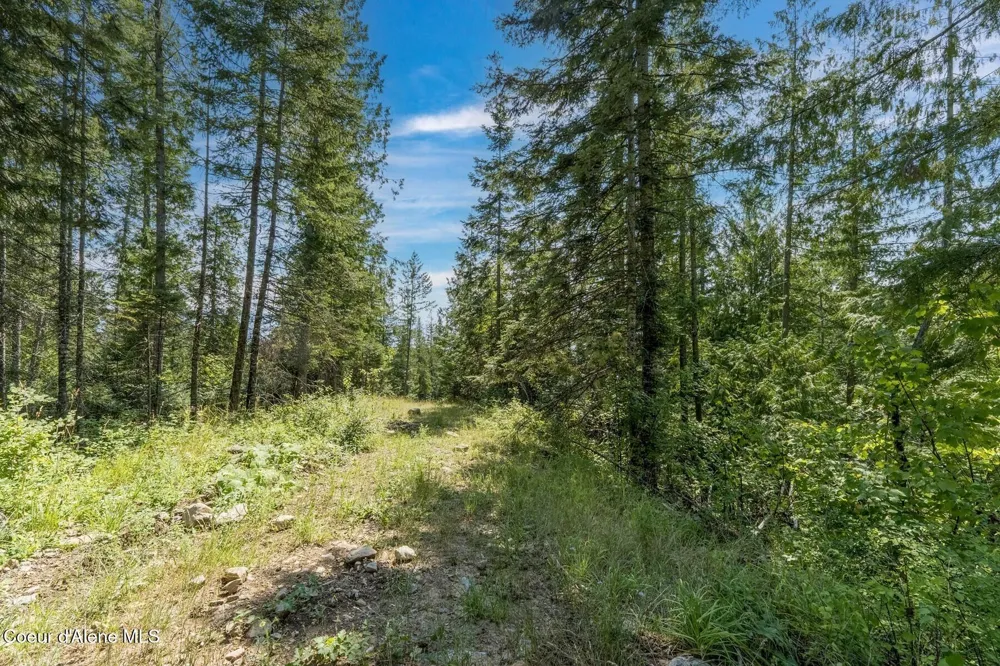 NKA Enchanted Forest (Lot 3) Lane Hope, ID 83836