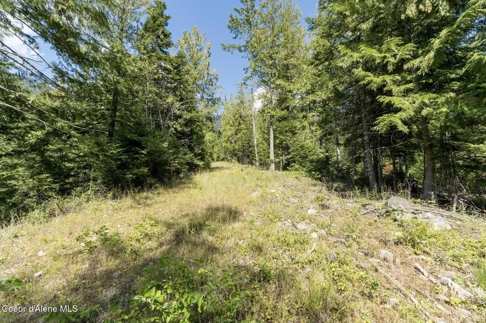 NKA Enchanted Forest (Lot 3) Lane Hope, ID 83836