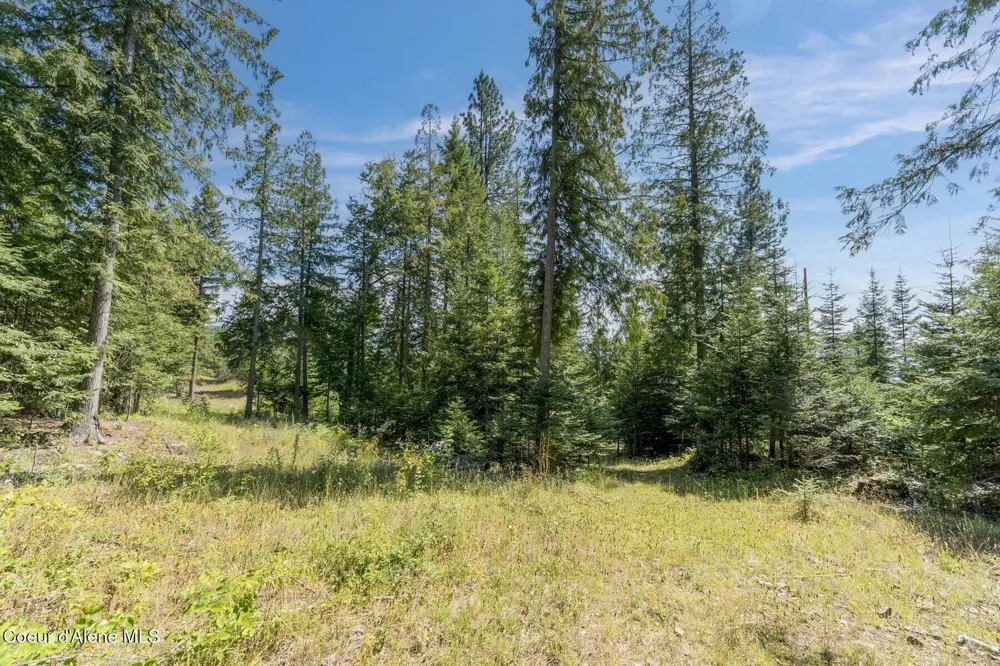 NKA Enchanted Forest (Lot 3) Lane Hope, ID 83836
