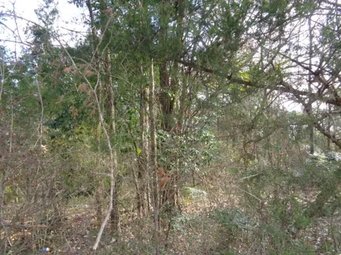 CR 4870