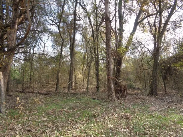 CR 4870 Winnsboro, TX 75494