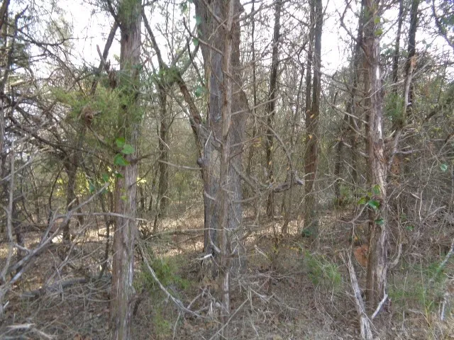CR 4870 Winnsboro, TX 75494
