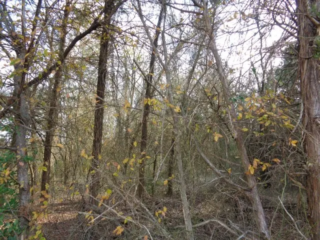 CR 4870 Winnsboro, TX 75494
