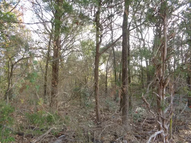 CR 4870 Winnsboro, TX 75494