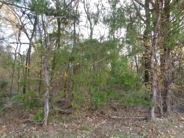 CR 4870 Winnsboro, TX 75494
