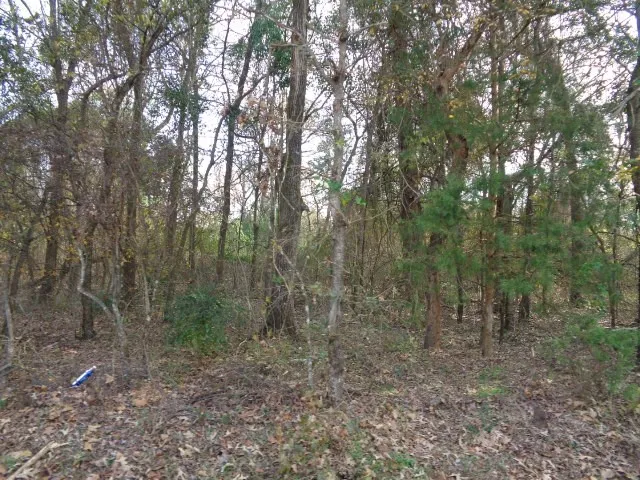 CR 4870 Winnsboro, TX 75494