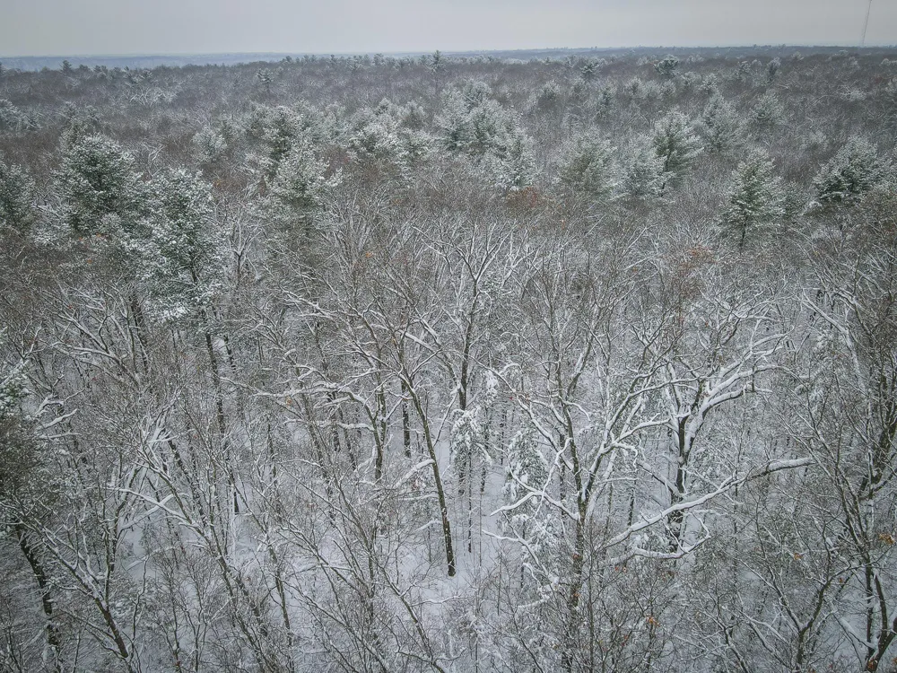 Nichols Road Holton, MI 49425