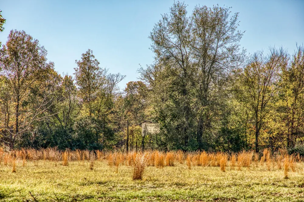 1967 Fm 489 Oakwood, TX 75855