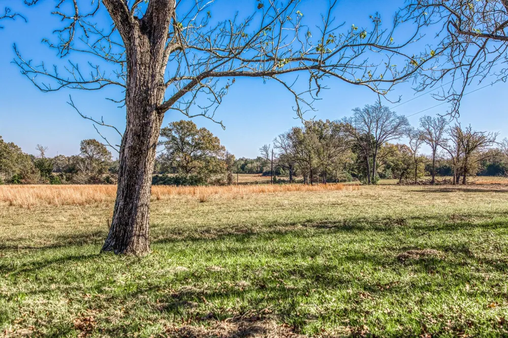1967 Fm 489 Oakwood, TX 75855