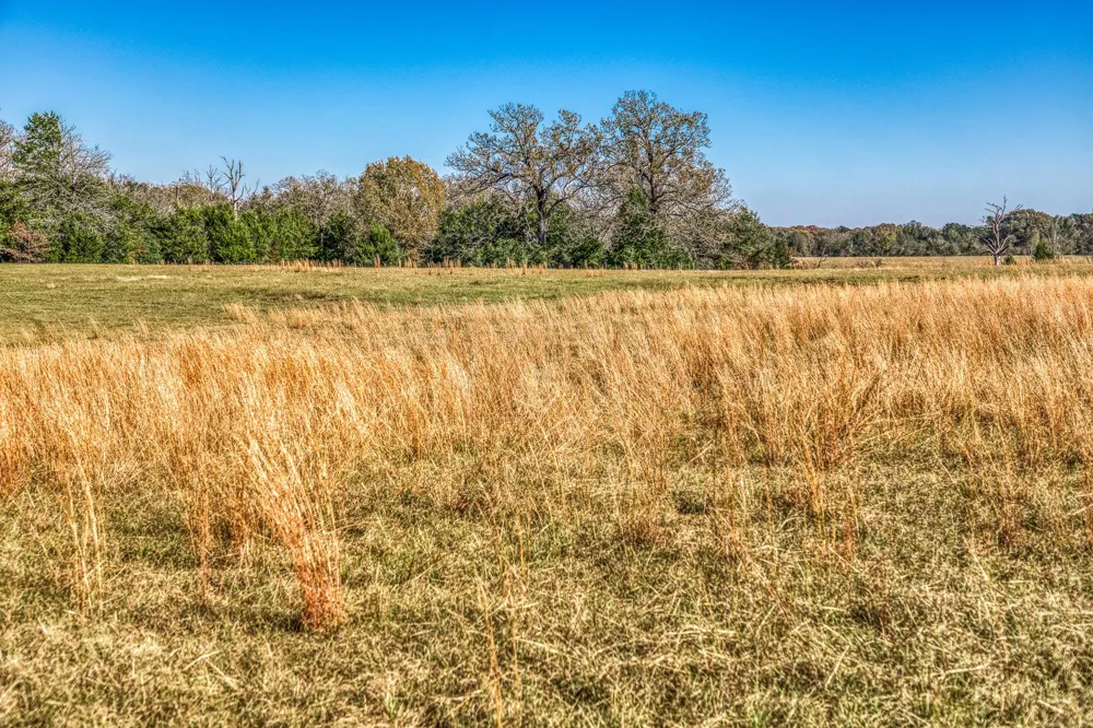 1967 Fm 489 Oakwood, TX 75855