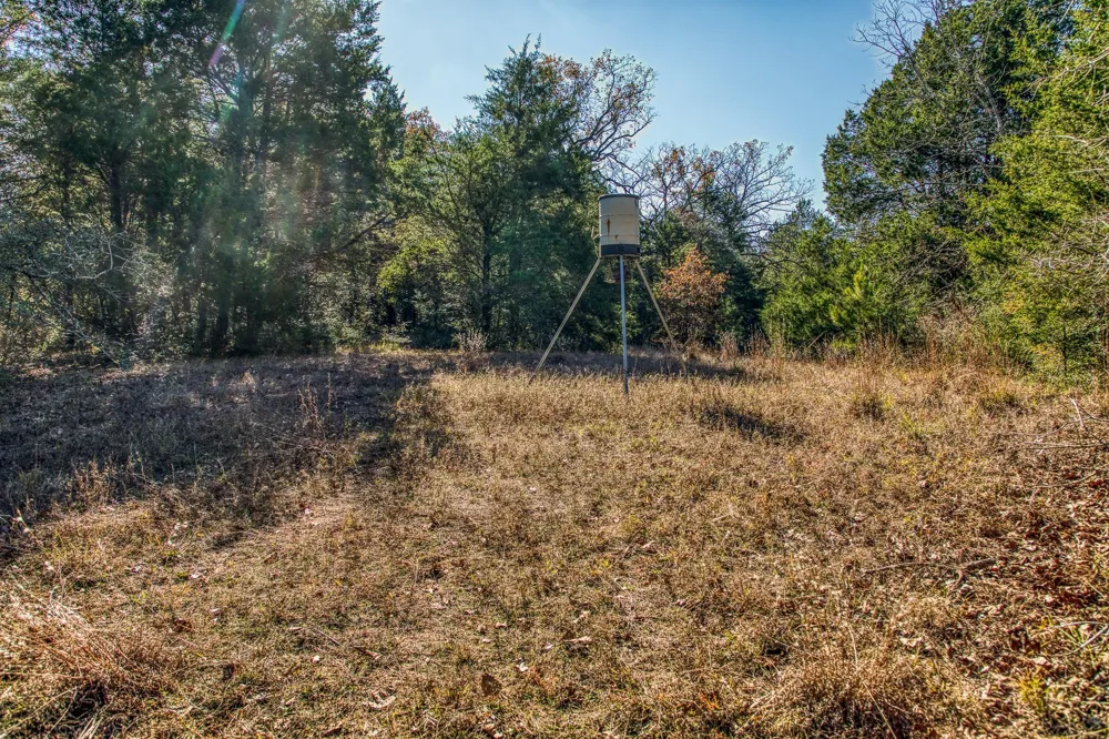 1967 Fm 489 Oakwood, TX 75855