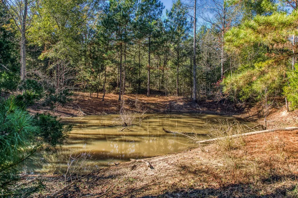 1967 Fm 489 Oakwood, TX 75855