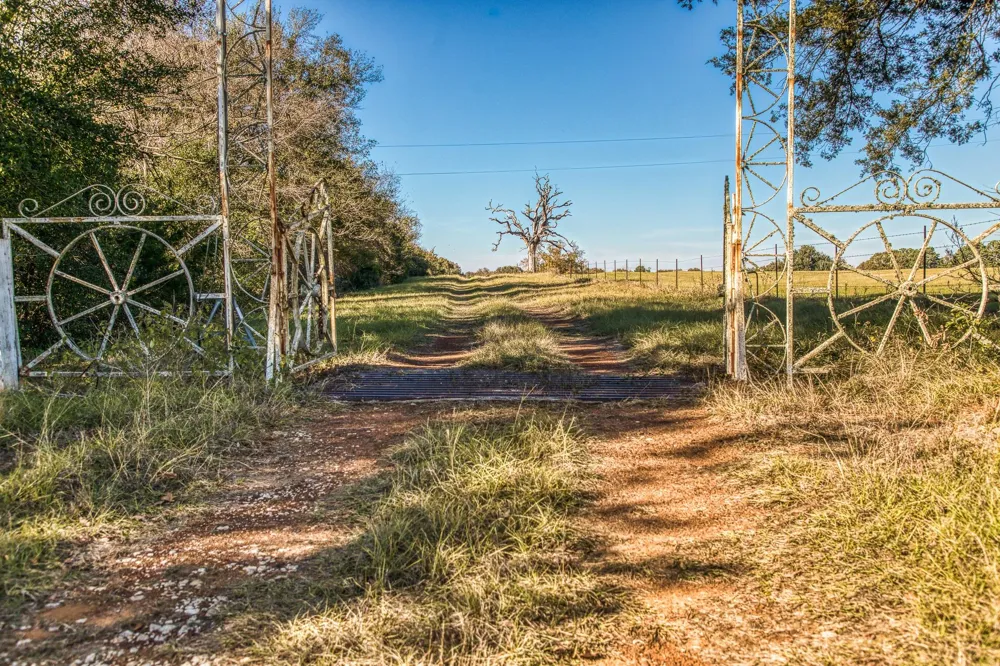 1967 Fm 489 Oakwood, TX 75855