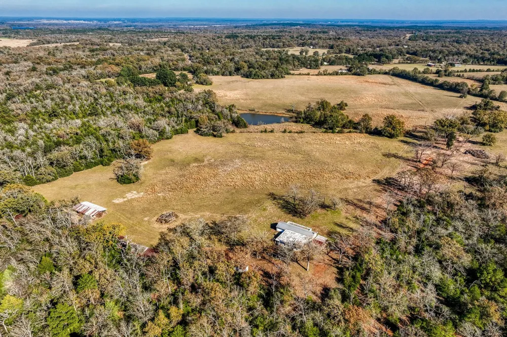 1967 Fm 489 Oakwood, TX 75855