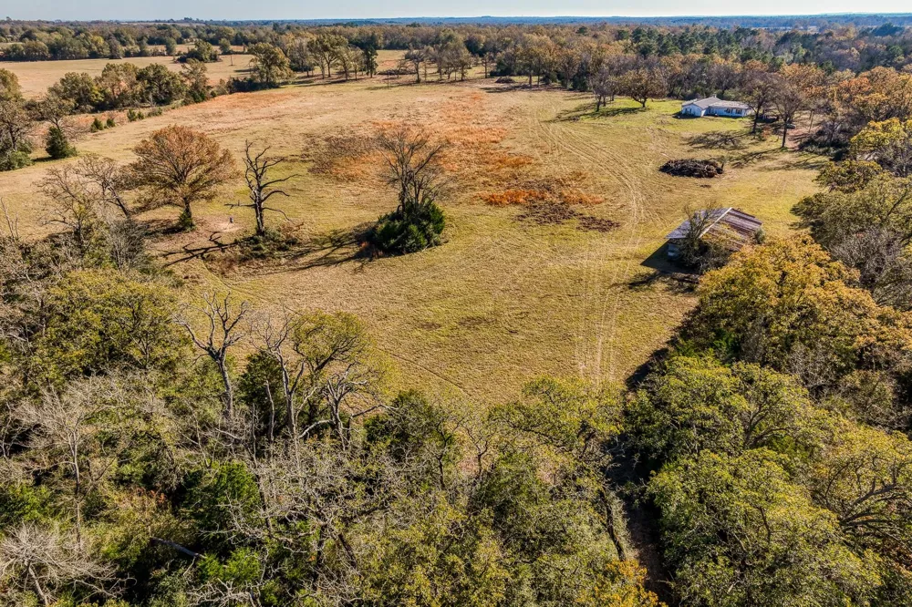 1967 Fm 489 Oakwood, TX 75855