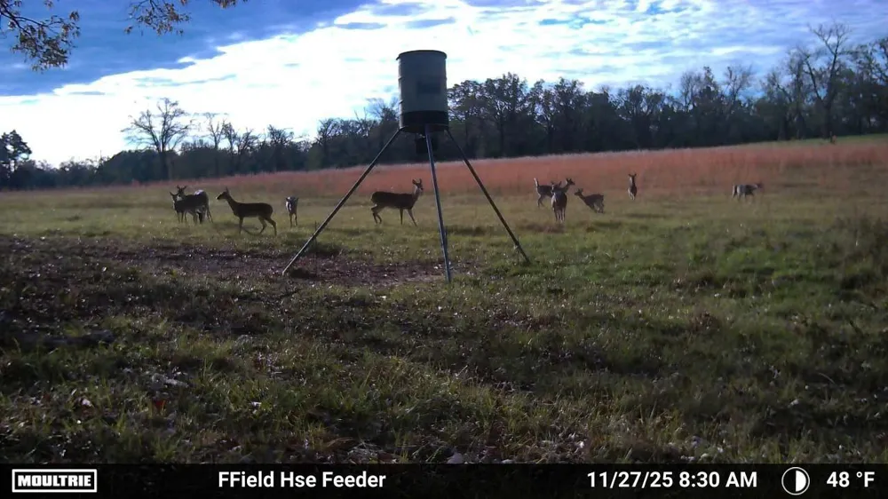 1967 Fm 489 Oakwood, TX 75855