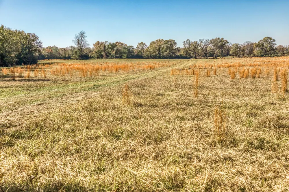 1967 Fm 489 Oakwood, TX 75855