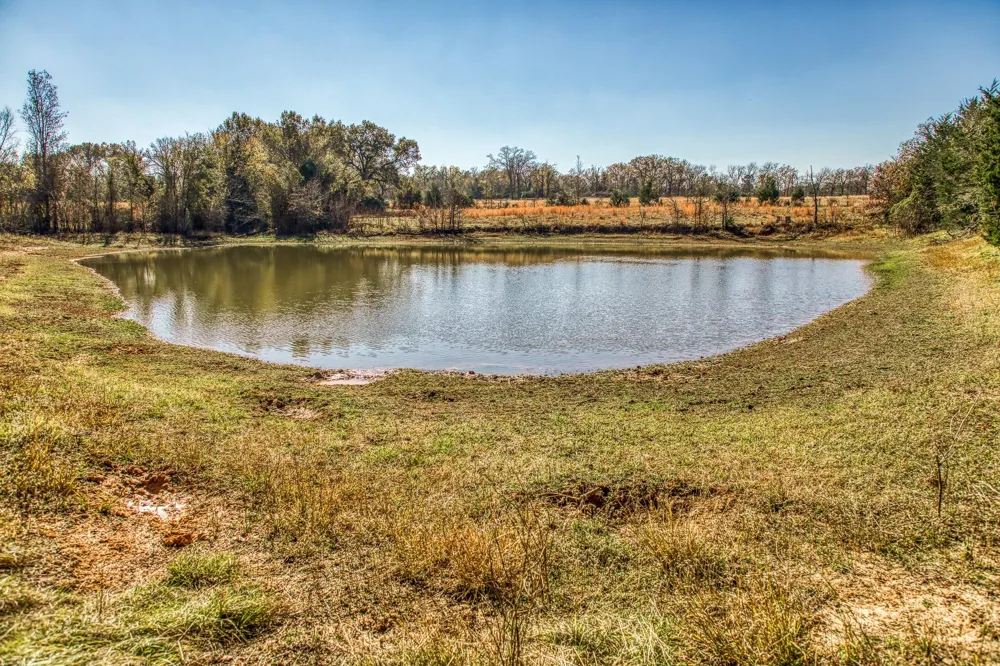 1967 Fm 489 Oakwood, TX 75855