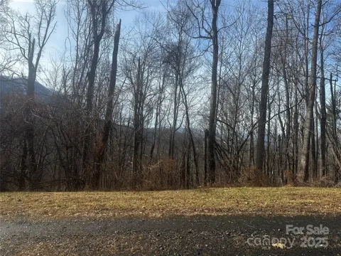 0 Wild Turkey Road #21