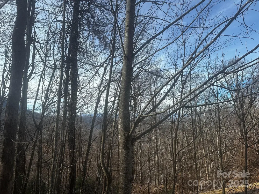 0 Wild Turkey Road #21 Bakersville, NC 28705