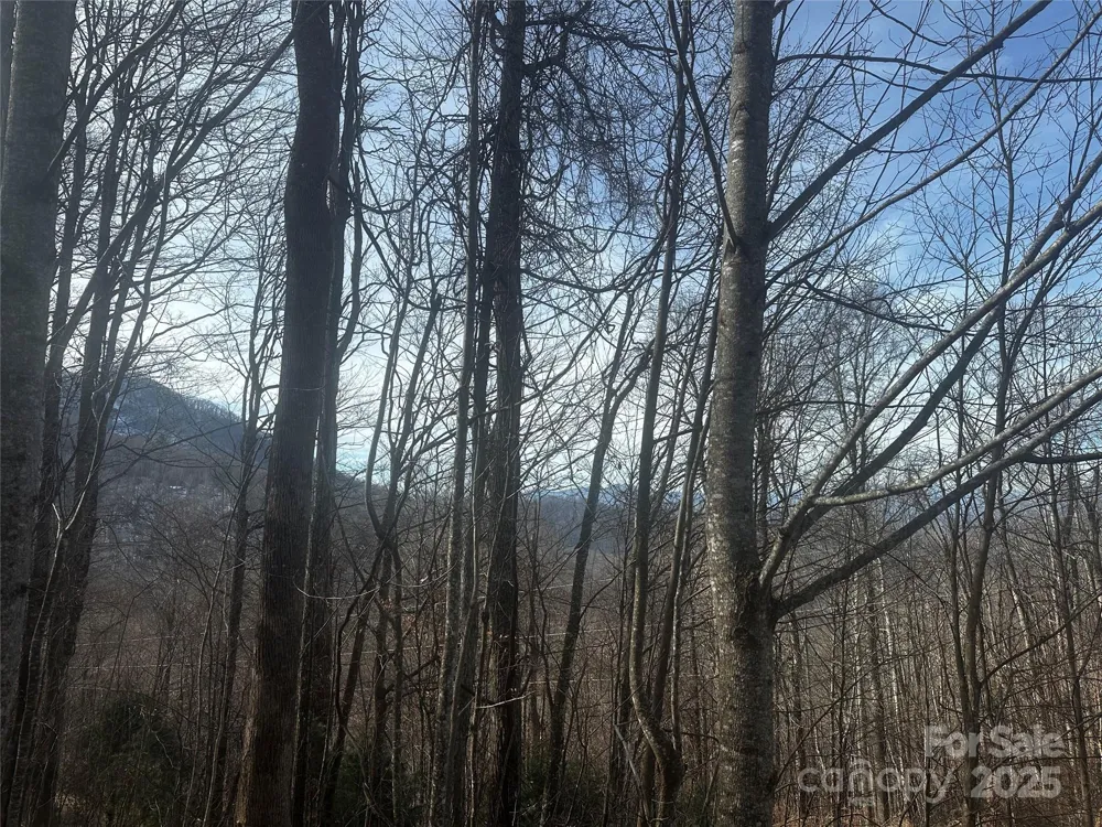 0 Wild Turkey Road #21 Bakersville, NC 28705