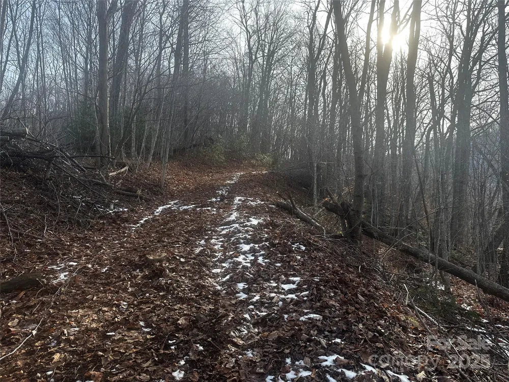 0 Wild Turkey Road #21 Bakersville, NC 28705
