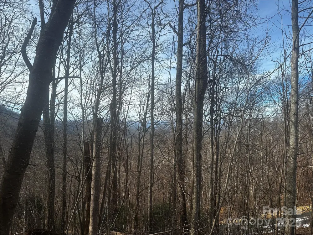 0 Wild Turkey Road #21 Bakersville, NC 28705