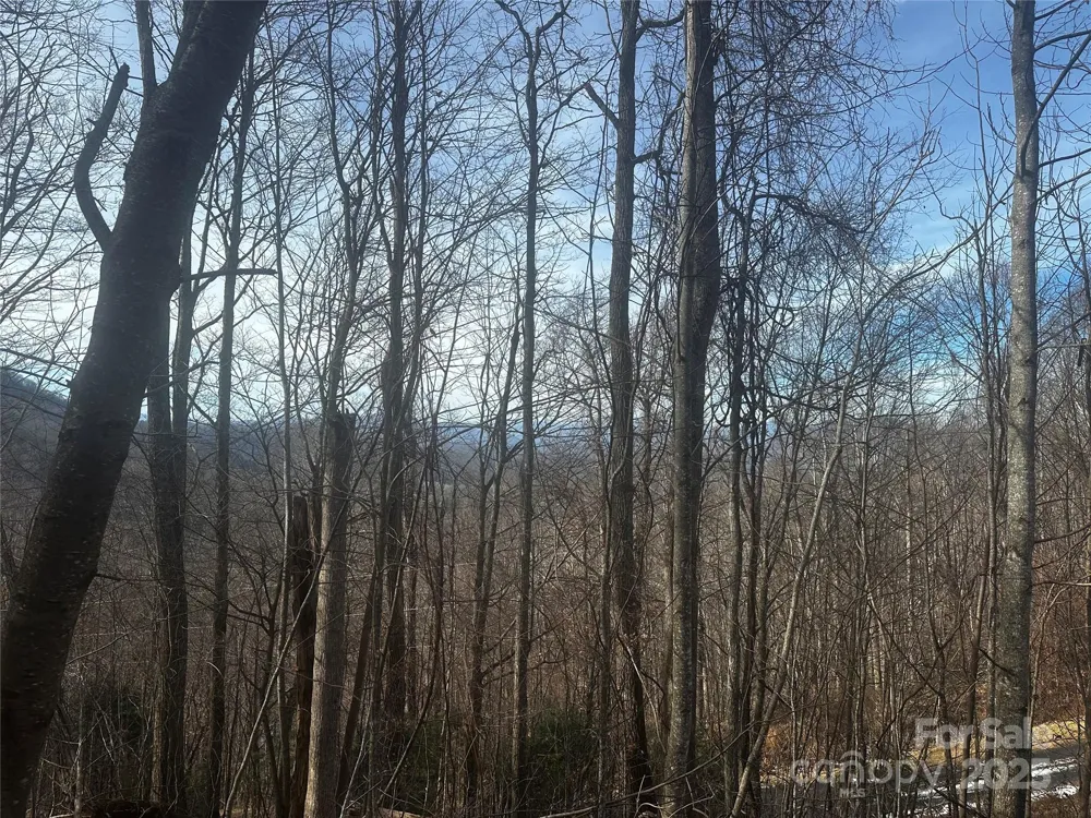 0 Wild Turkey Road #21 Bakersville, NC 28705
