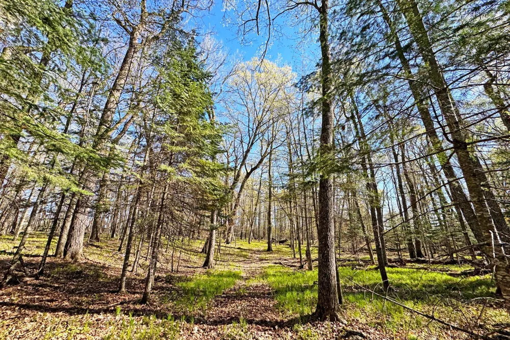 26810 Hart Lake Road Pengilly, MN 55775