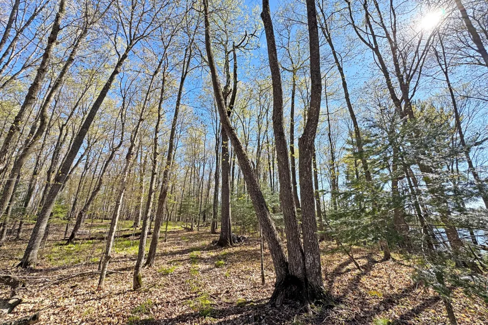 26810 Hart Lake Road Pengilly, MN 55775