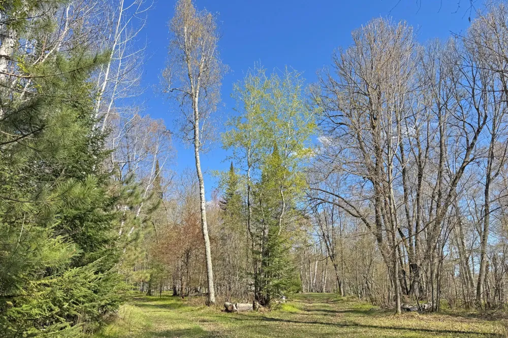 26810 Hart Lake Road Pengilly, MN 55775