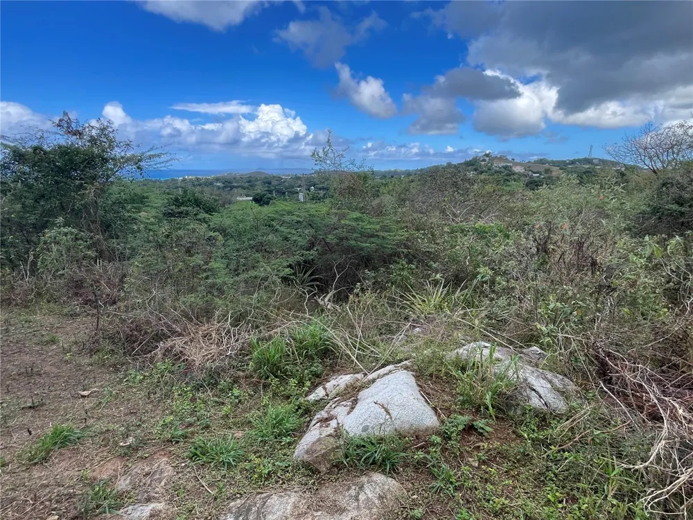 3 WINDHORSE FARM Vieques, PR 00765