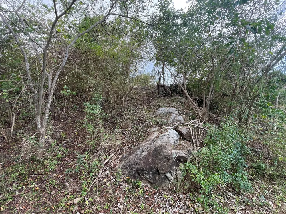 3 WINDHORSE FARM Vieques, PR 00765