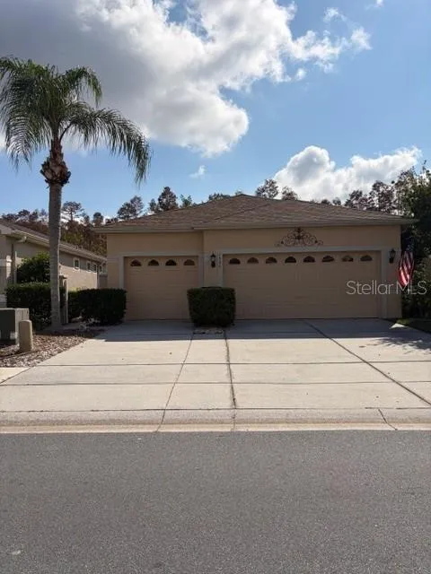 Address Not Shown