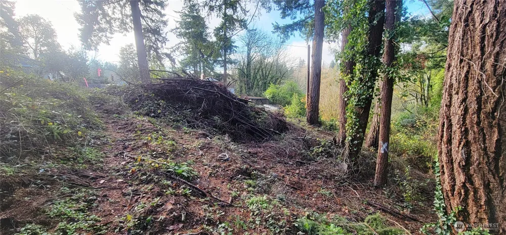 3202 17th Street Bremerton, WA 98312
