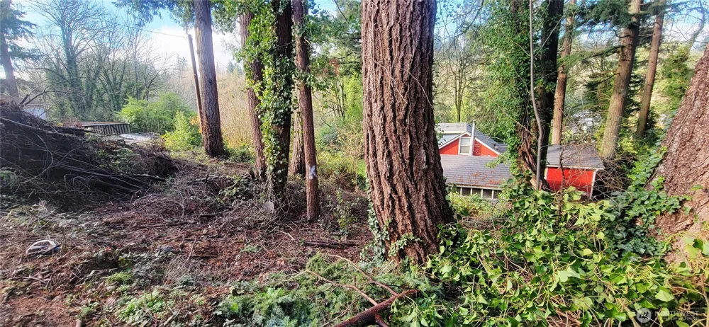 3202 17th Street Bremerton, WA 98312