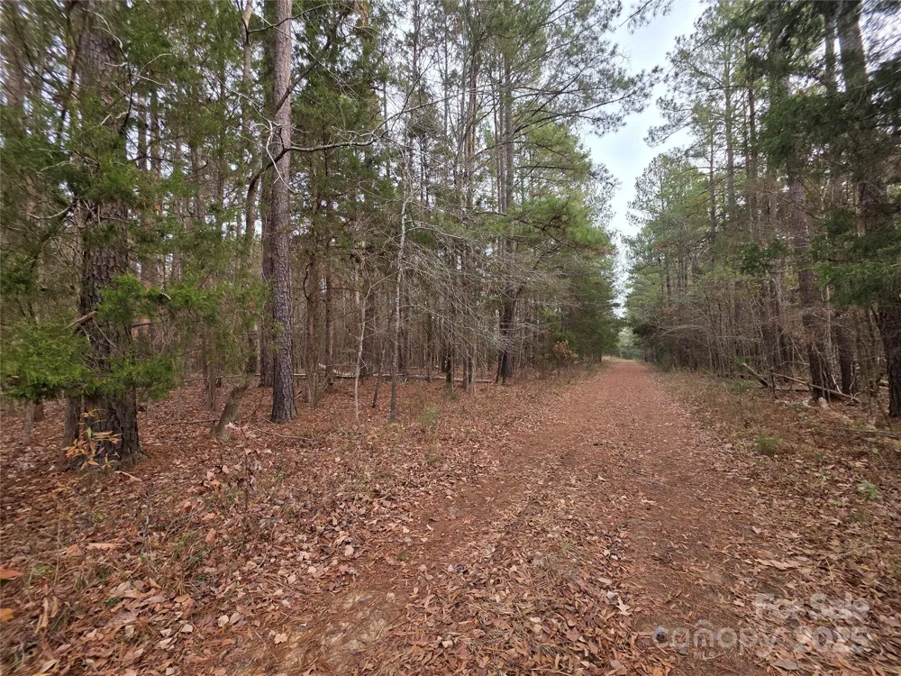 00 Lynn Circle #11-14 Lancaster, SC 29720