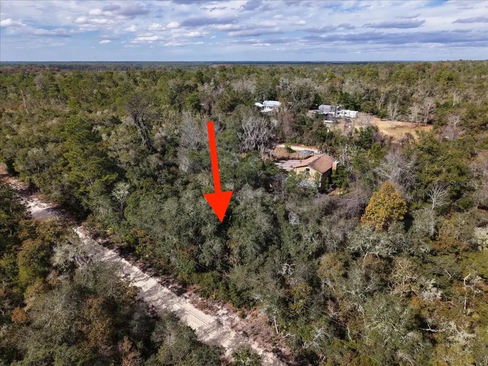 NE 233RD LANE Fort Mc Coy, FL 32134