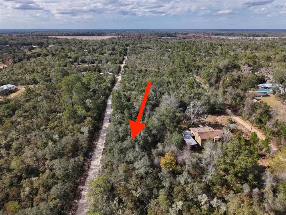NE 233RD LANE Fort Mc Coy, FL 32134