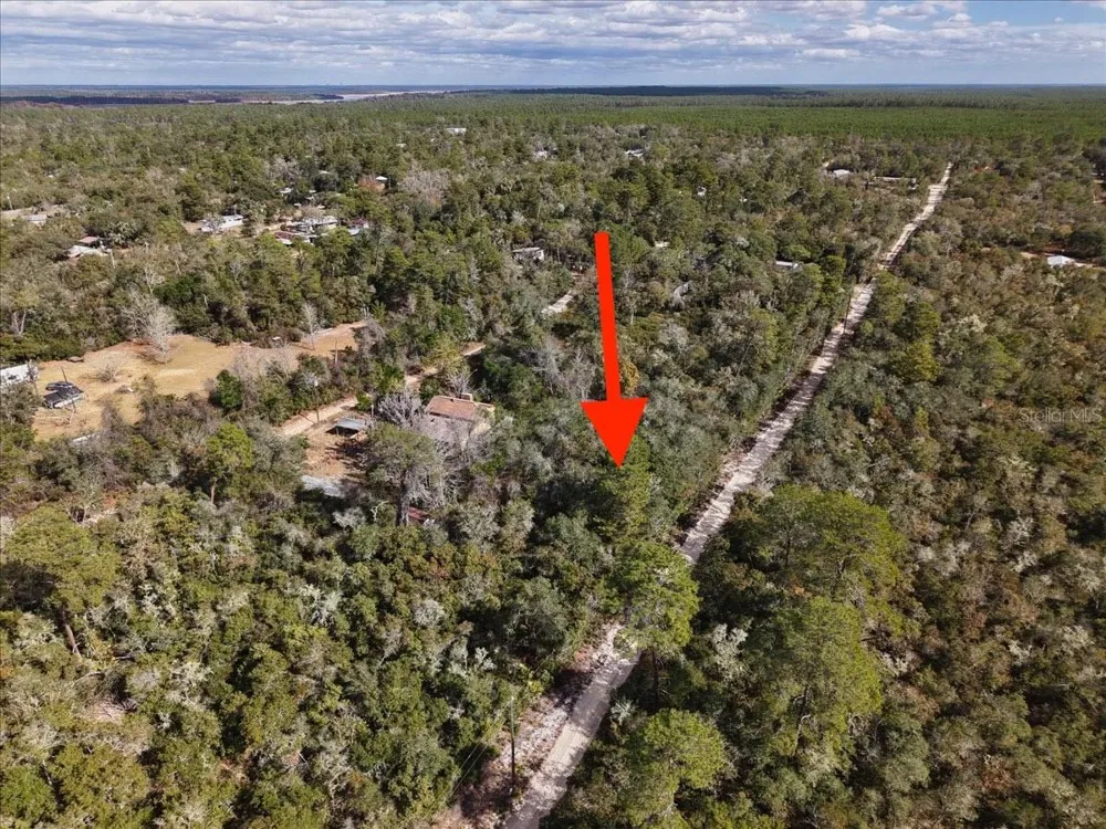 NE 233RD LANE Fort Mc Coy, FL 32134