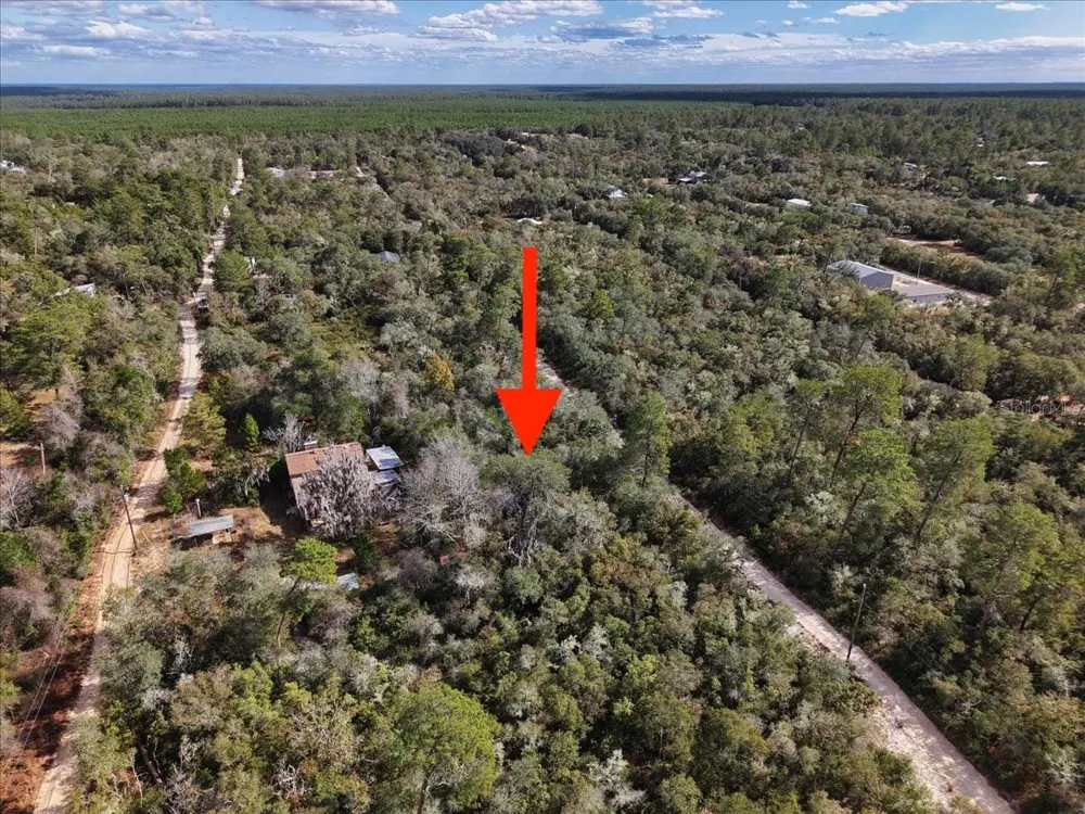 NE 233RD LANE Fort Mc Coy, FL 32134
