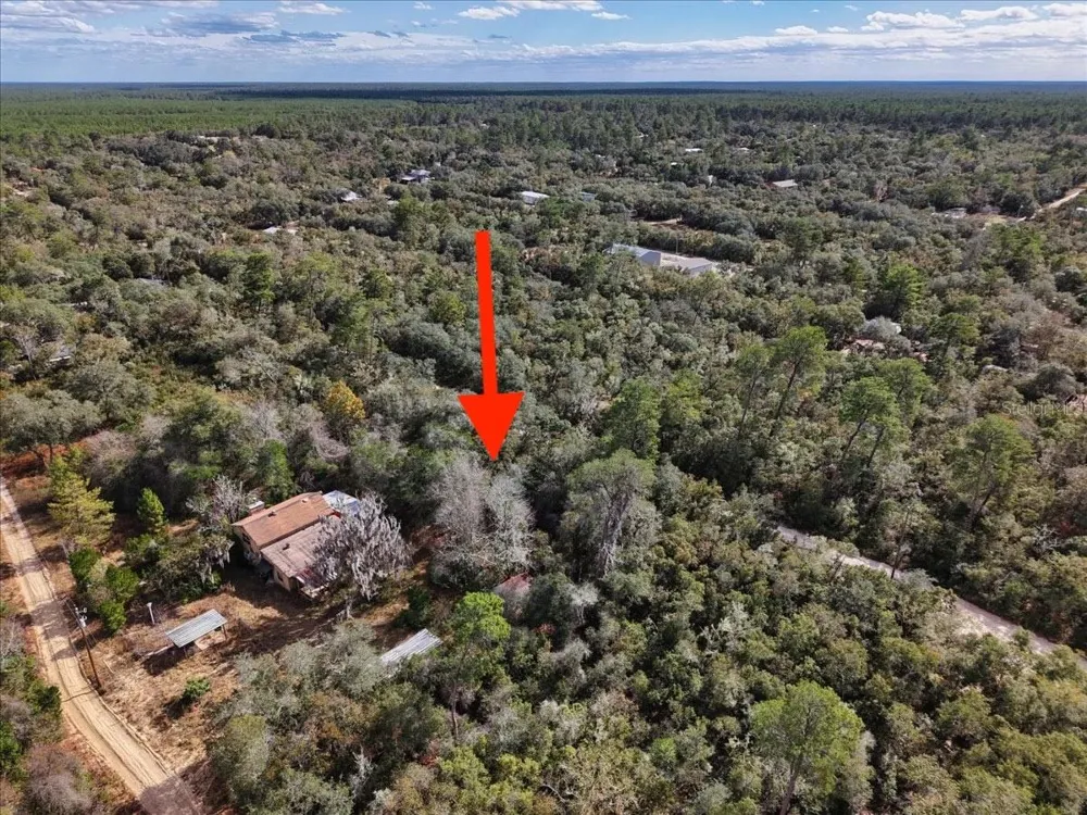 NE 233RD LANE Fort Mc Coy, FL 32134