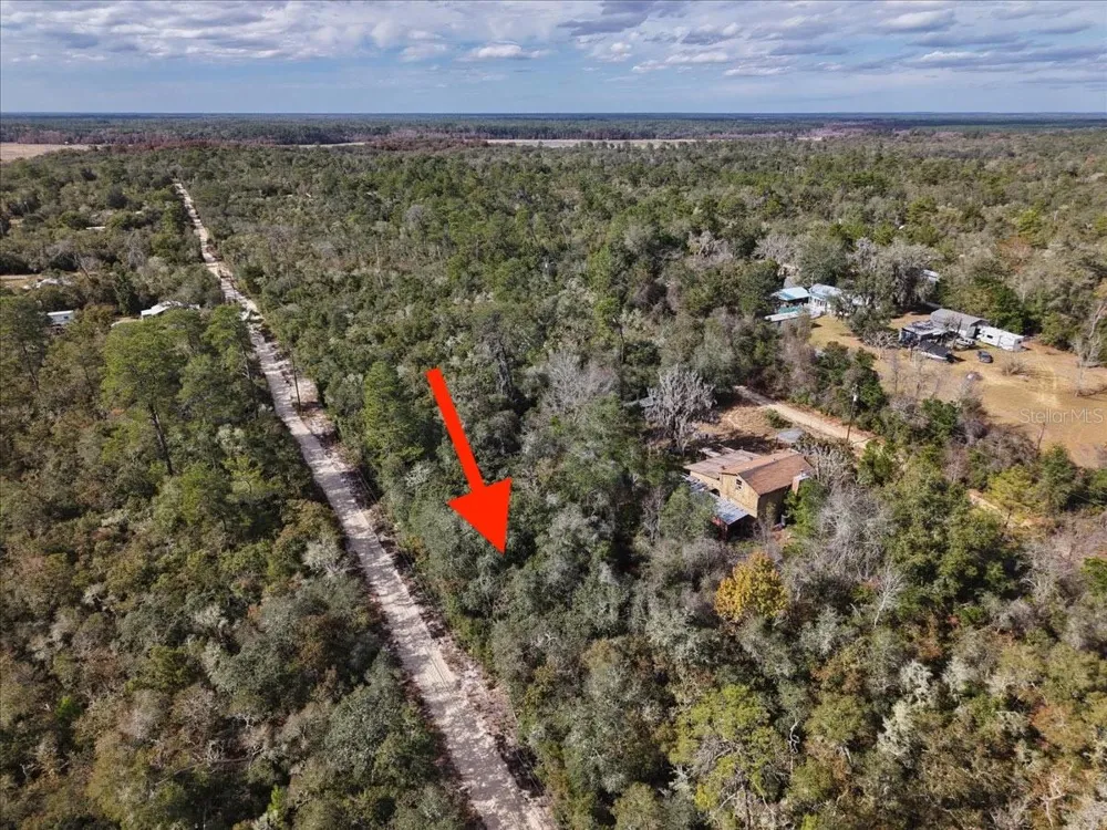 NE 233RD LANE Fort Mc Coy, FL 32134