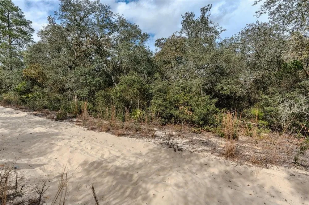 NE 233RD LANE Fort Mc Coy, FL 32134
