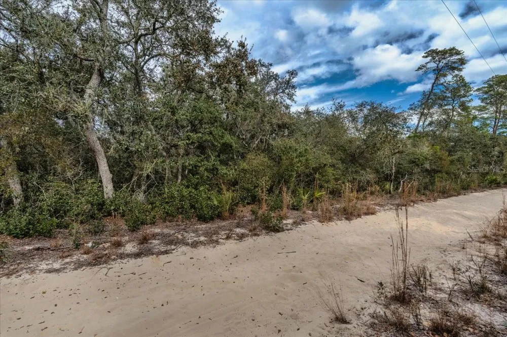 NE 233RD LANE Fort Mc Coy, FL 32134
