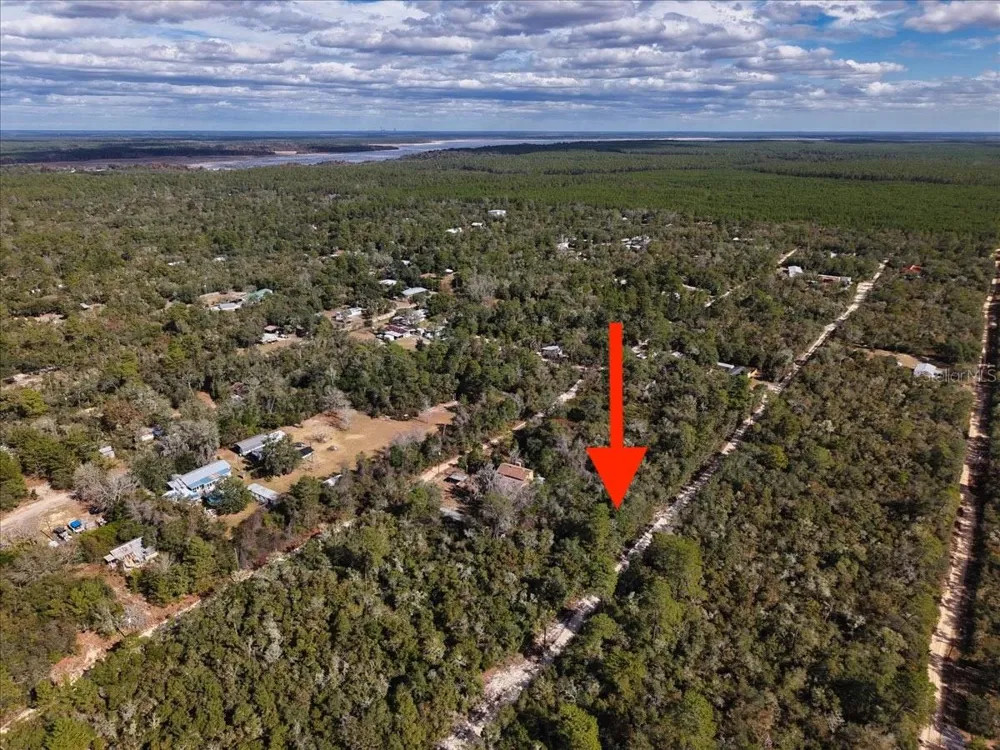 NE 233RD LANE Fort Mc Coy, FL 32134