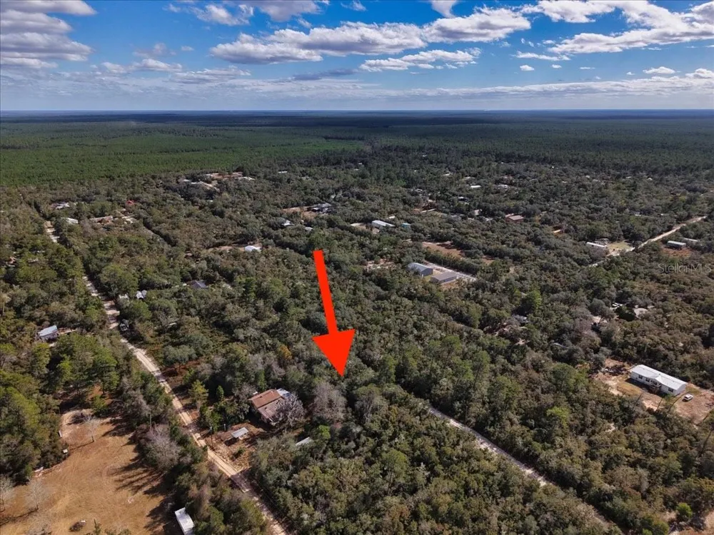 NE 233RD LANE Fort Mc Coy, FL 32134