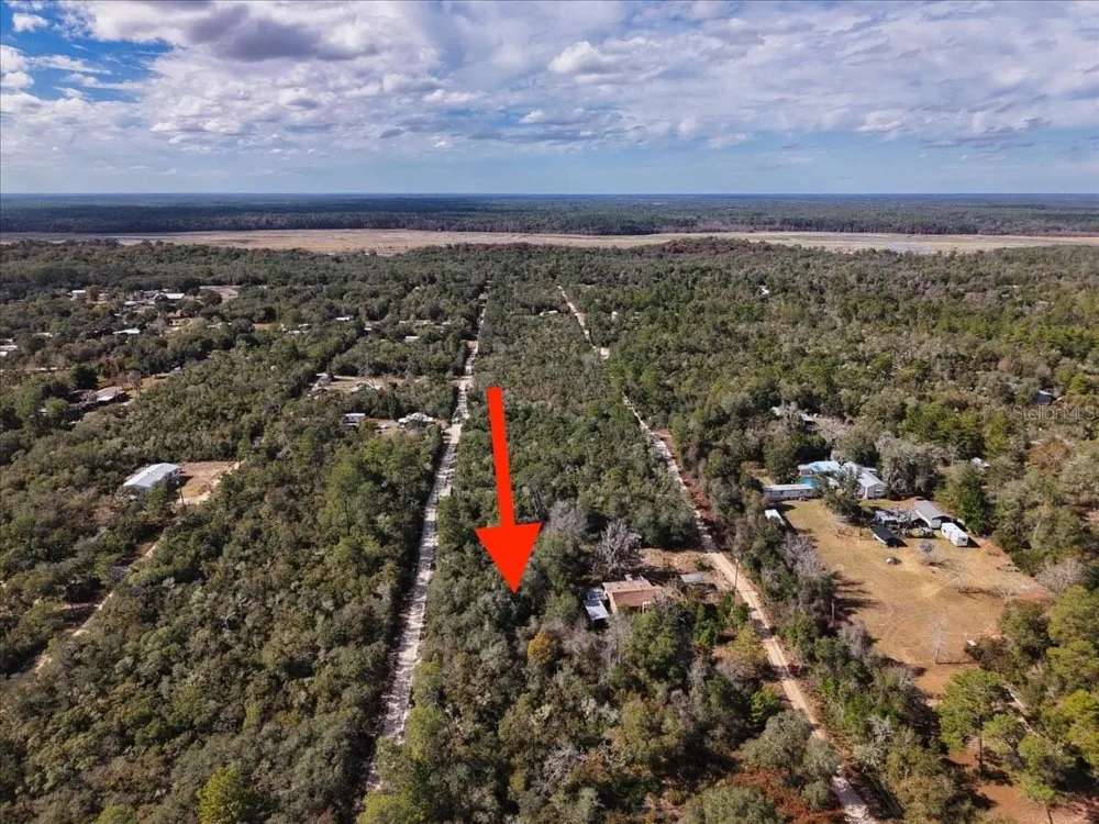 NE 233RD LANE Fort Mc Coy, FL 32134