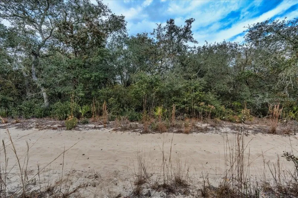 NE 233RD LANE Fort Mc Coy, FL 32134