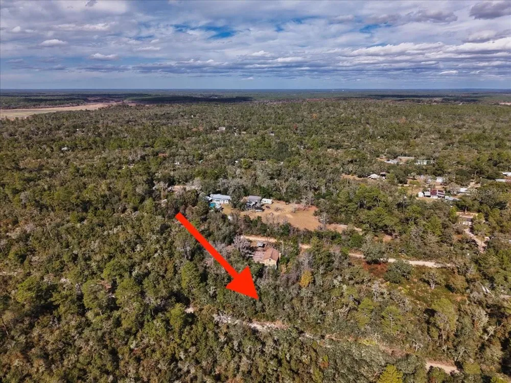 NE 233RD LANE Fort Mc Coy, FL 32134